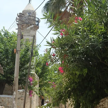 酒店 Kocca Ev 达特恰