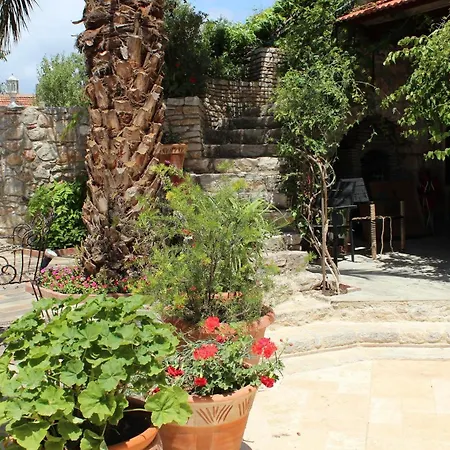 Kocca Ev داتْشا