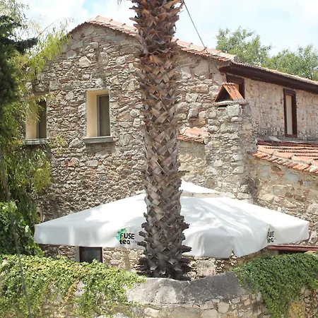 Kocca Ev 3* 达特恰