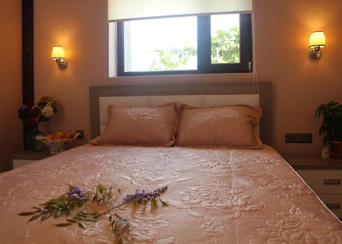 Отель Kocca Ev 3*