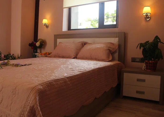 Kocca Ev 3* Датча