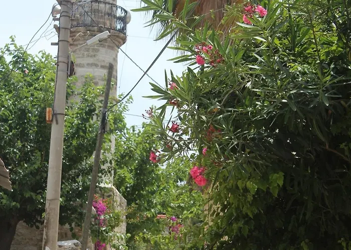 Отель Kocca Ev Датча