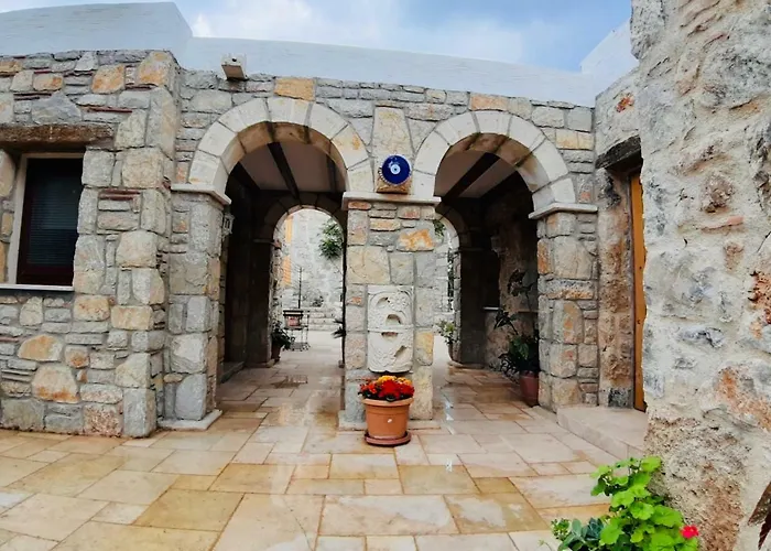 Kocca Ev 3* Датча