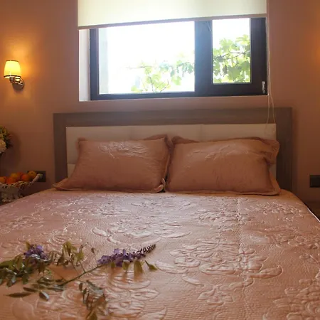 Hotel Kocca Ev 3*