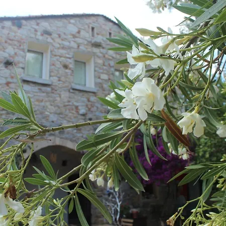 Kocca Ev Hotel 3*