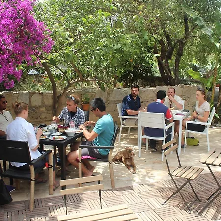Hotel Kocca Ev