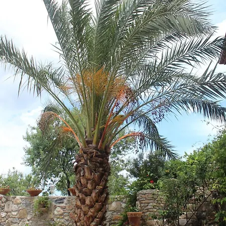 Kocca Ev 3* Datca